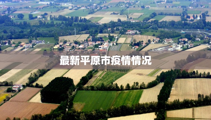 最新平原市疫情情况