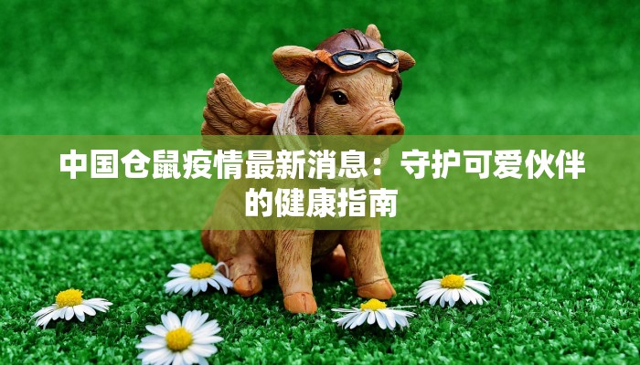 广州的最新疫情消息：科学防控，共筑健康防线