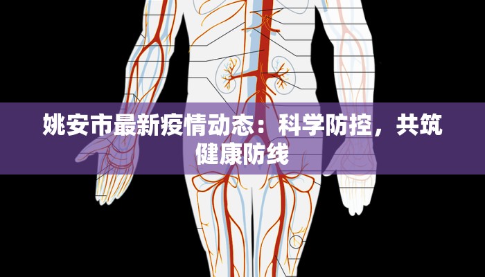 姚安市最新疫情动态：科学防控，共筑健康防线