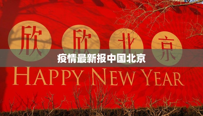 疫情最新报中国北京