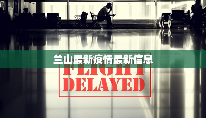 兰山最新疫情最新信息