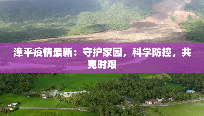 永平最新疫情通报