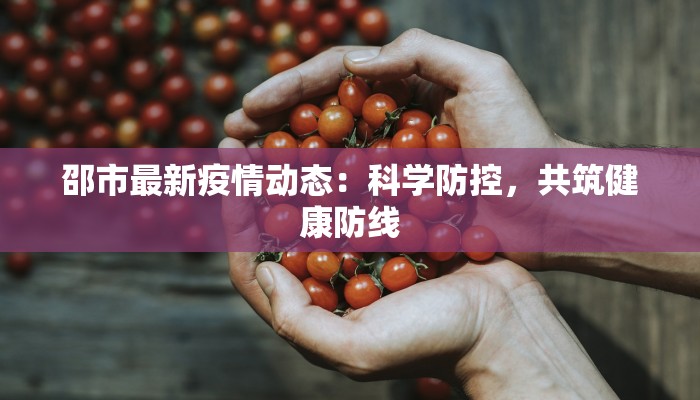 邵市最新疫情动态：科学防控，共筑健康防线