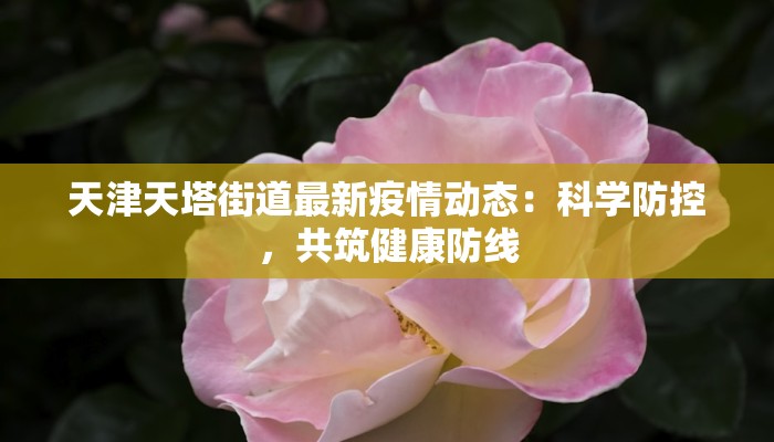 衡水疫情的最新状况：守护健康，共克时艰