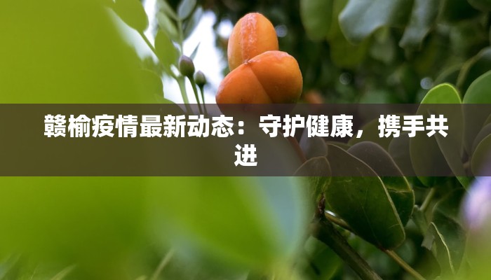 陕西泾阳最新疫情：科学防控，守护健康家园