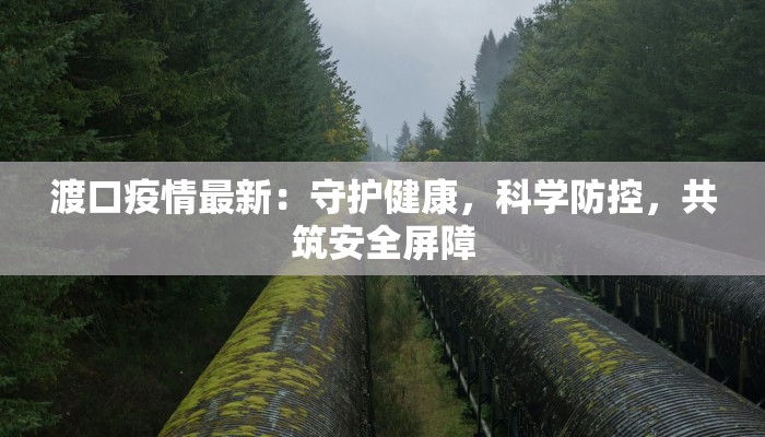 渡口疫情最新：守护健康，科学防控，共筑安全屏障
