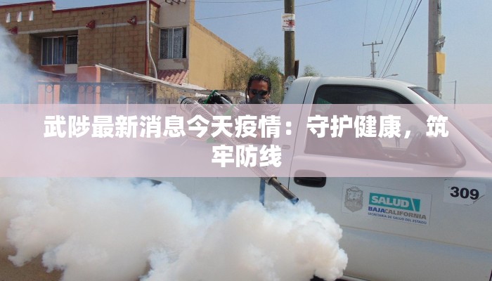 武陟最新消息今天疫情：守护健康，筑牢防线