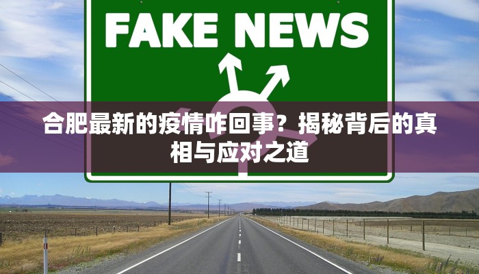 合肥最新的疫情咋回事？揭秘背后的真相与应对之道