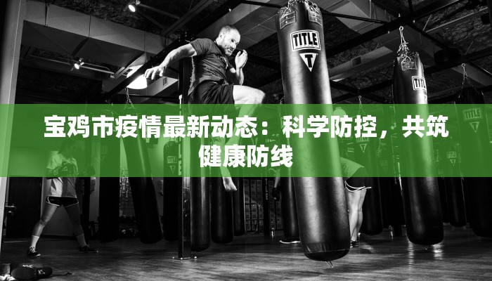 宝鸡市疫情最新动态：科学防控，共筑健康防线